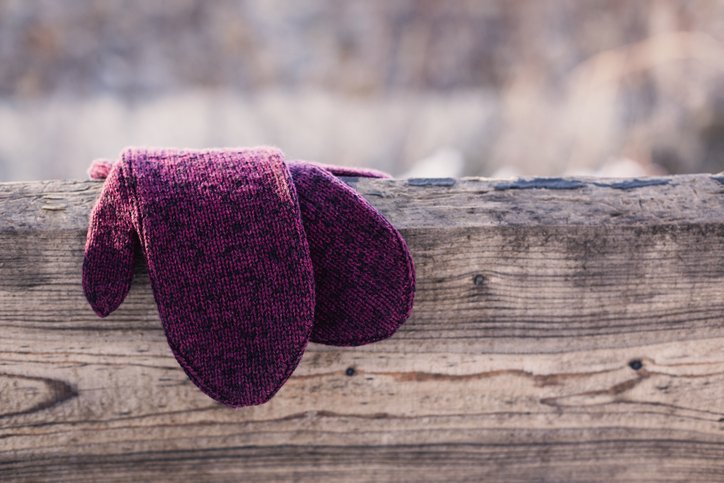 Everyday Polar Fleece Mittens